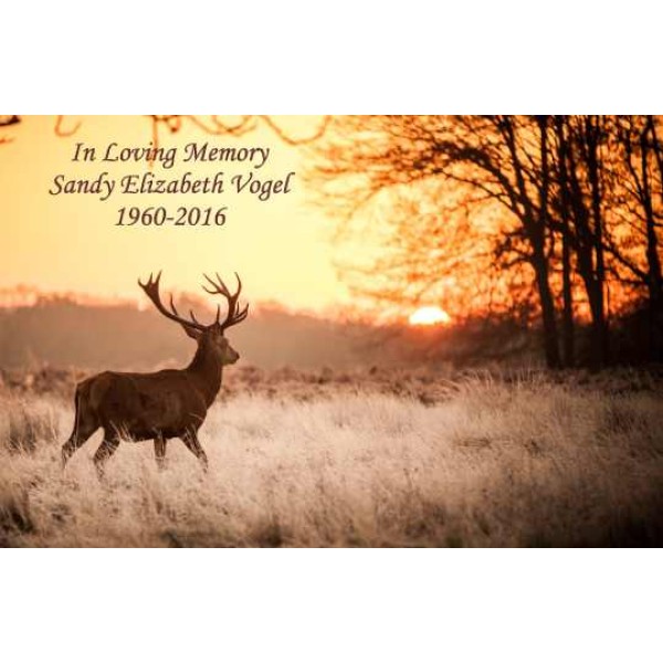 Deer at Sunset White Wooden Urn Box for Ashes Deer at Sunset White Wooden Urn Box for Cremated Ashes