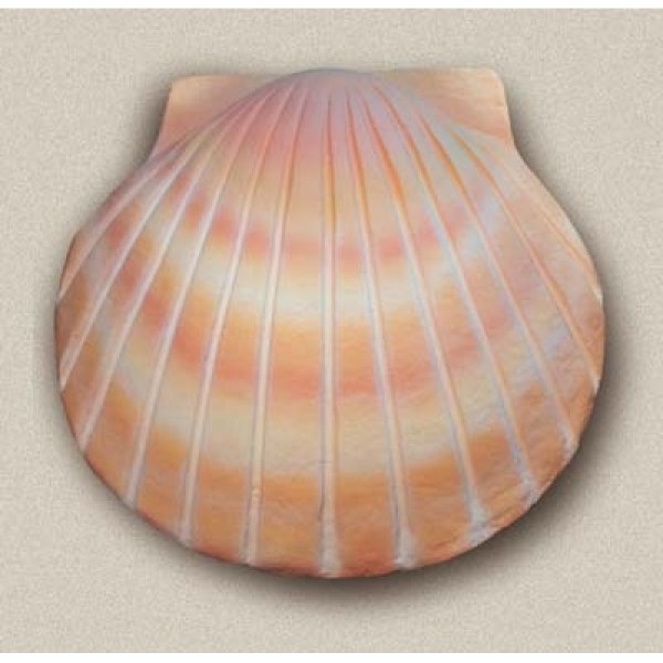 Sand Shell Deep Water Bio Urn
