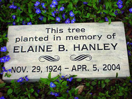 tree memorial stone